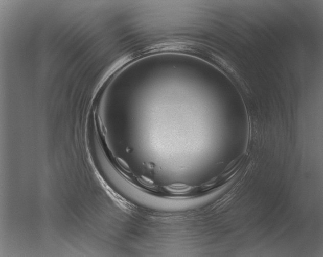 X0000050741426200506161515
