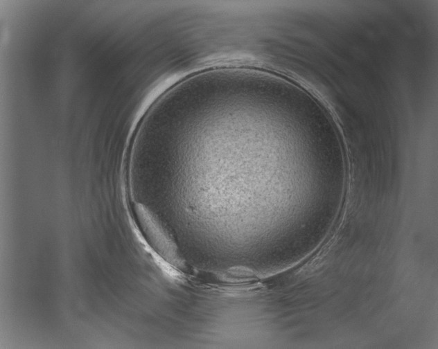 X0000050741440200506161515