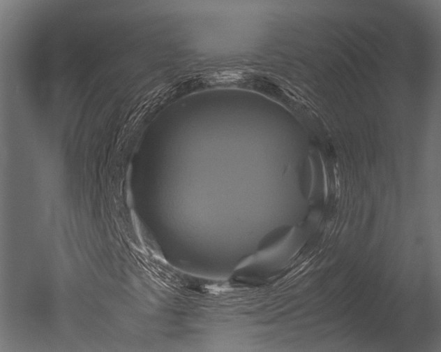 X0000050741441200506161514
