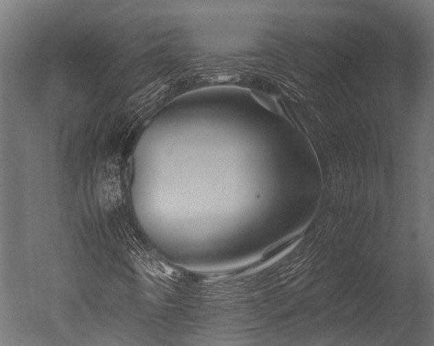 X0000050741442200506161514
