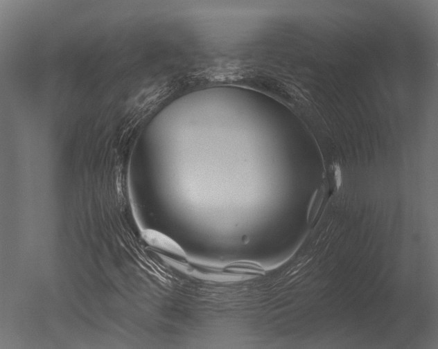 X0000050741444200506161514