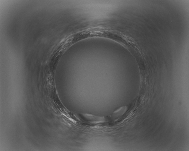 X0000050741445200506161514