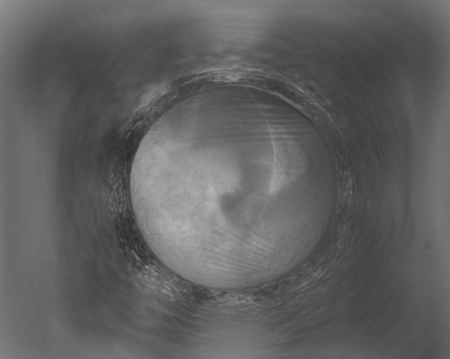 X0000050741446200506161514