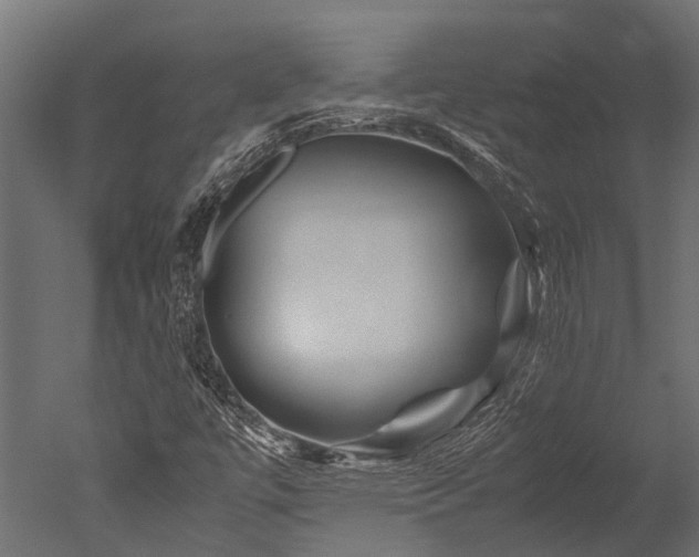 X0000050741447200506161514