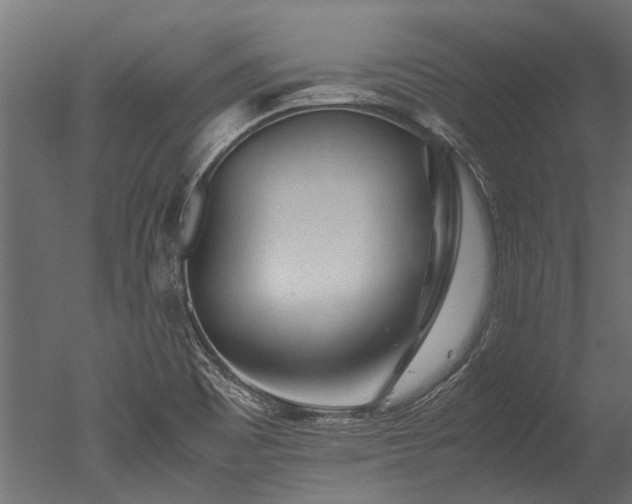 X0000050741465200506161514