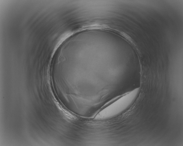 X0000050741474200506161514