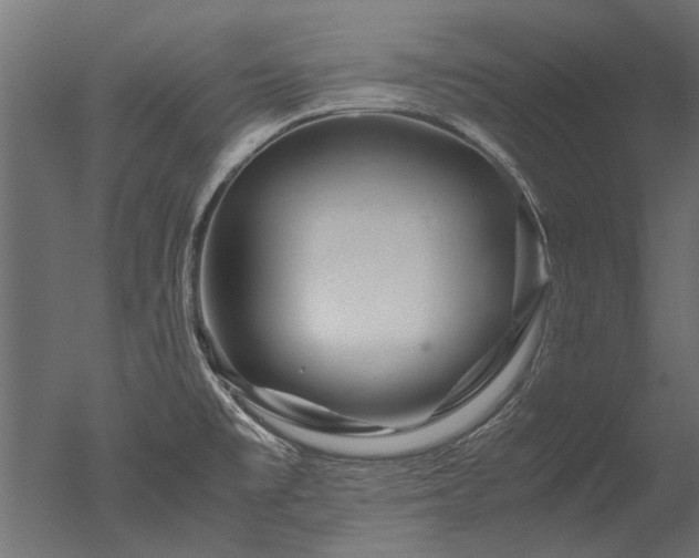 X0000050741477200506161514
