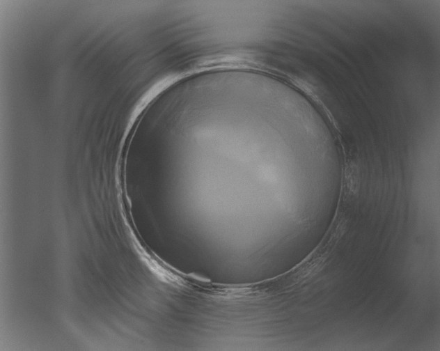 X0000050741482200506161514