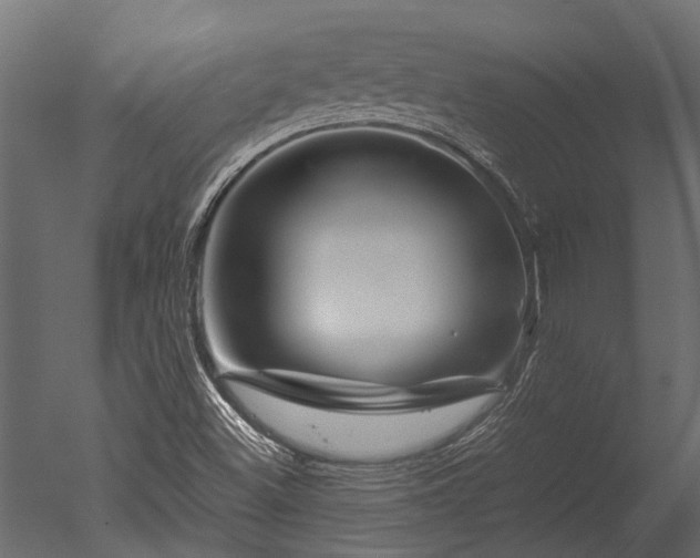 X0000050741500200506161513