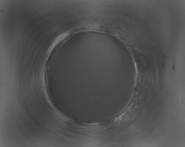 X0000050750054200506161612