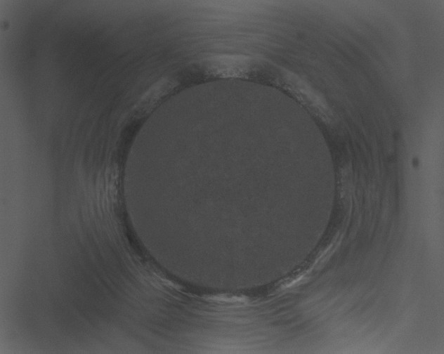 X0000050750073200506161612