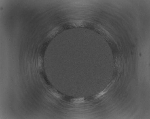 X0000050750132200506161611