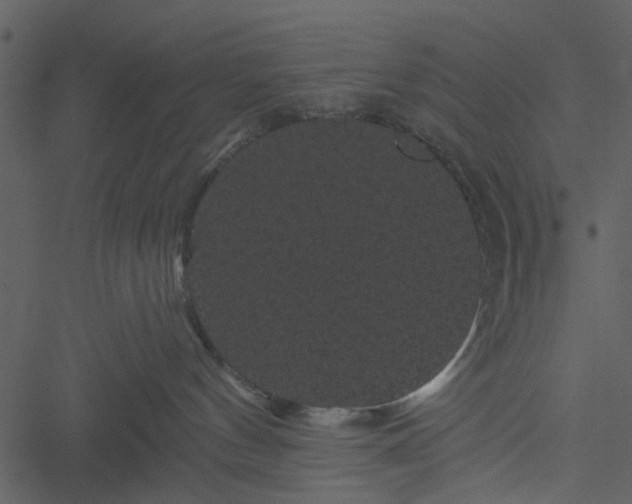 X0000050750144200506161611
