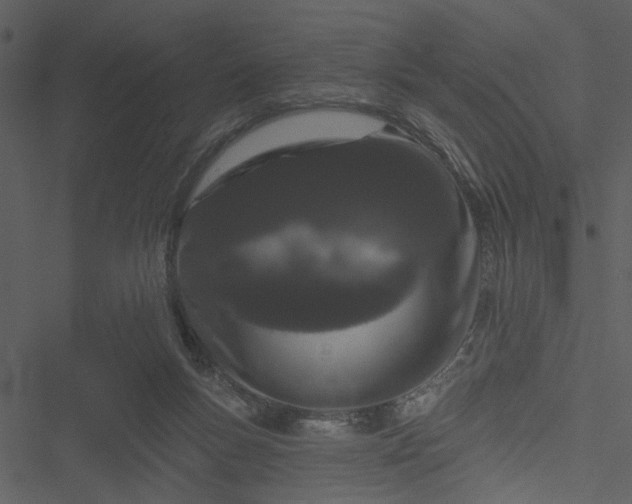 X0000050750167200506161611