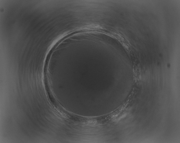 X0000050750196200506161610