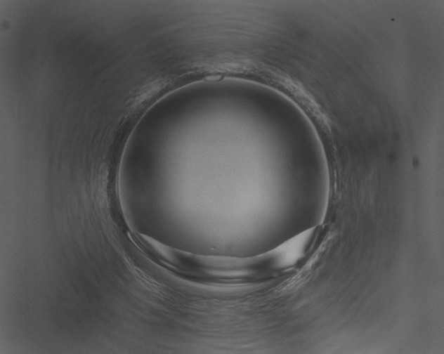 X0000050750201200506161610