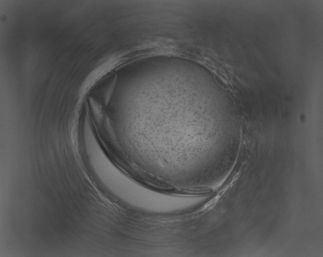 X0000050750245200506161609