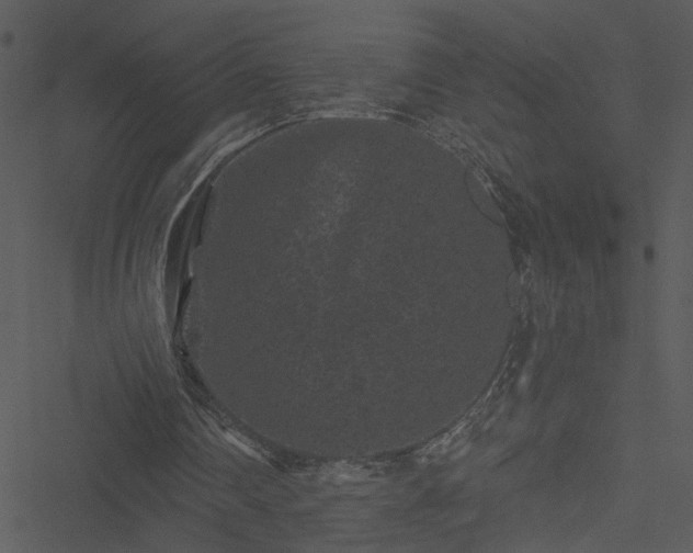 X0000050750290200506161609