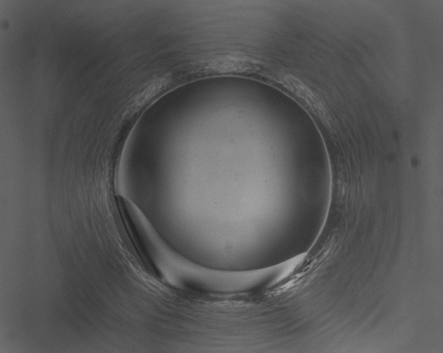 X0000050750393200506161607