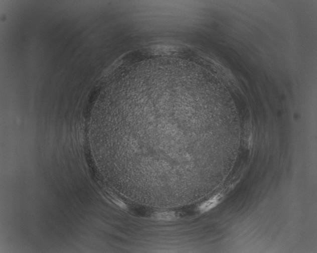 X0000050750413200506161607