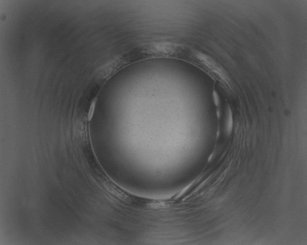 X0000050750425200506161606