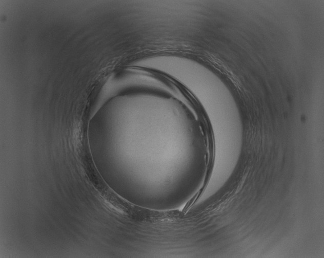 X0000050750593200506161604