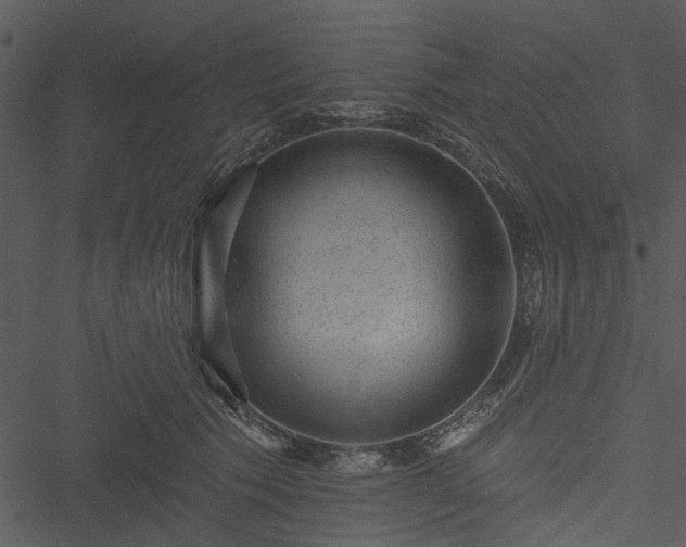X0000050750609200506161603