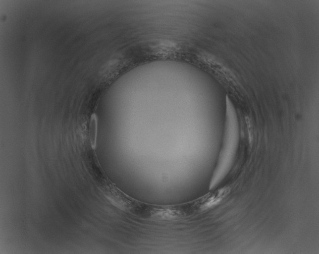 X0000050750611200506161603