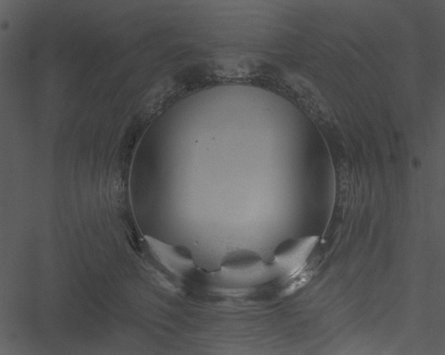 X0000050750614200506161603