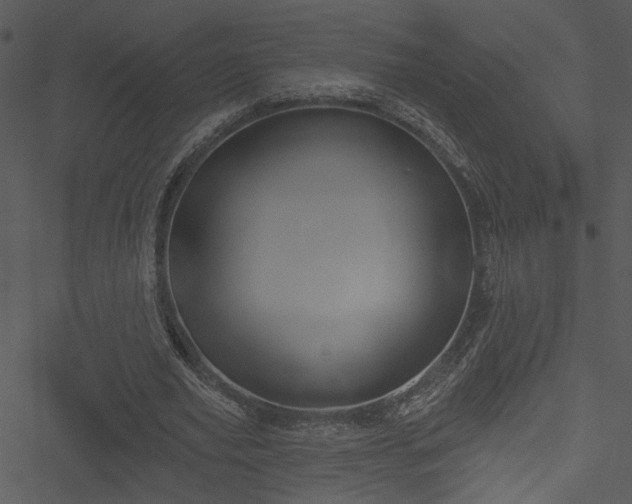 X0000050750629200506161602