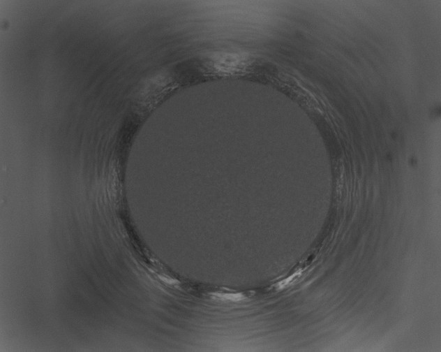 X0000050750651200506161603