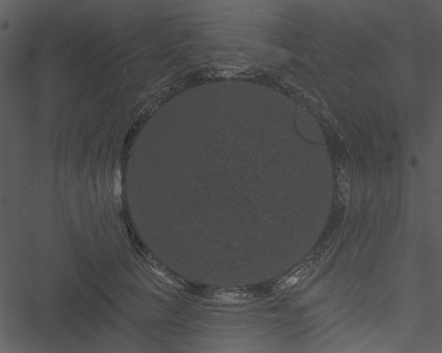 X0000050750657200506161603