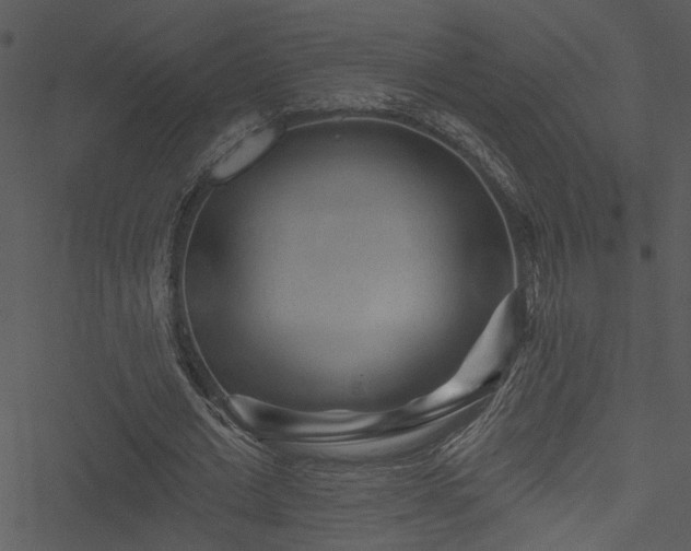 X0000050750677200506161602