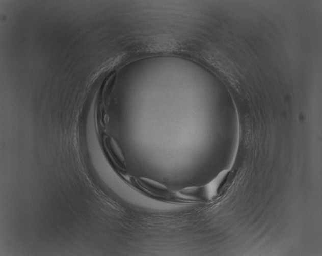 X0000050750681200506161602