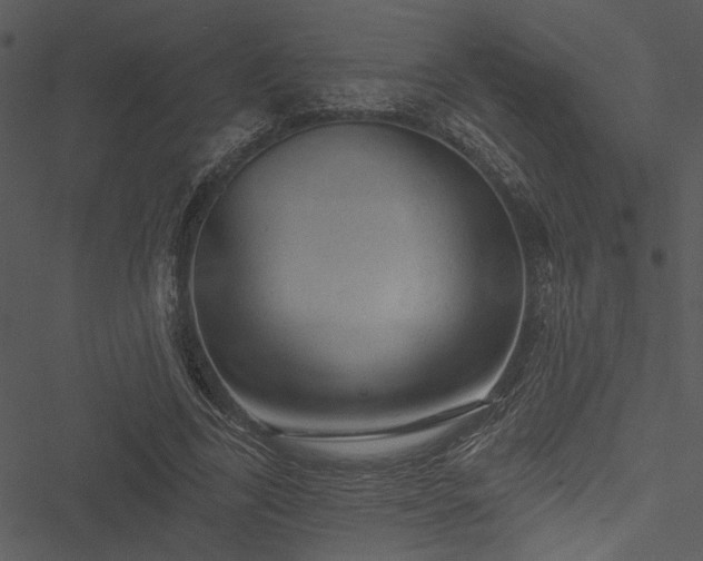 X0000050750731200506161601