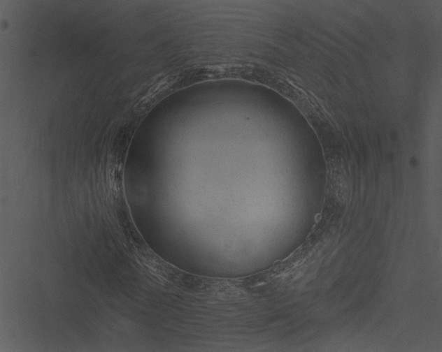 X0000050750770200506161601