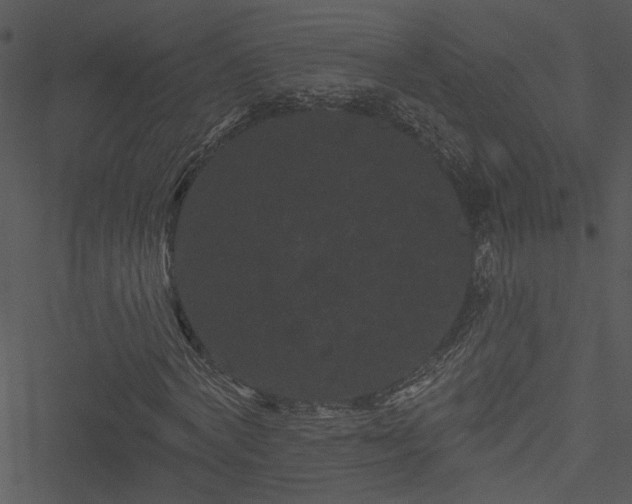 X0000050750772200506161601