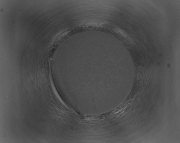 X0000050750774200506161601