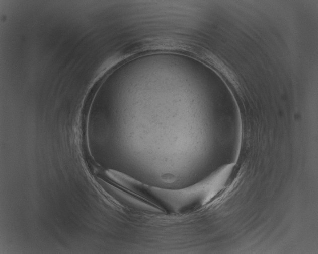X0000050750787200506161600