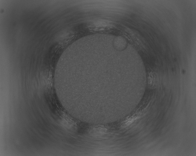 X0000050750820200506161559