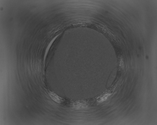 X0000050750868200506161559