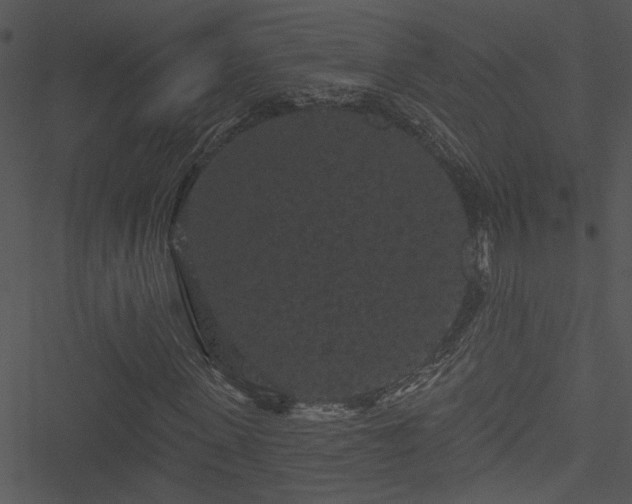 X0000050750915200506161558