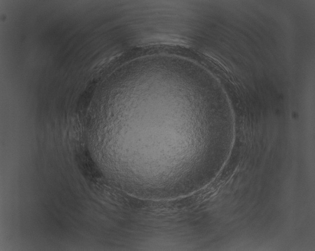 X0000050750917200506161558