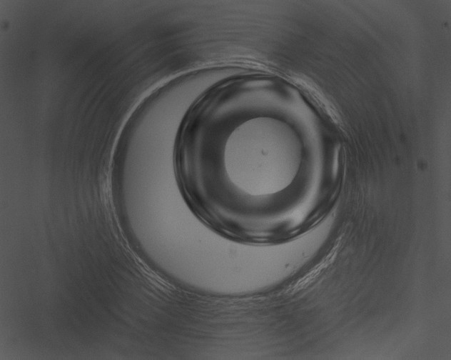 X0000050750924200506161558