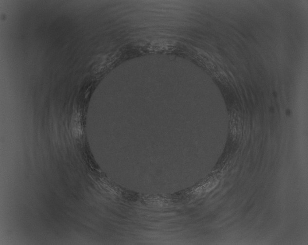 X0000050750962200506161558