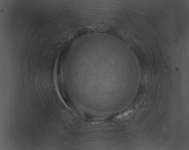 X0000050751010200506161556