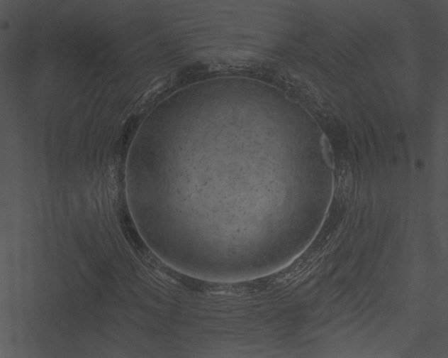 X0000050751012200506161556