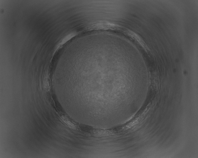 X0000050751018200506161556