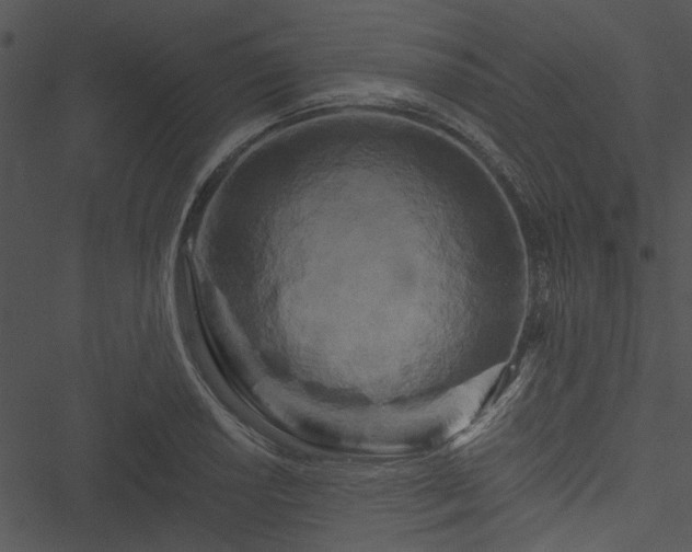 X0000050751034200506161556