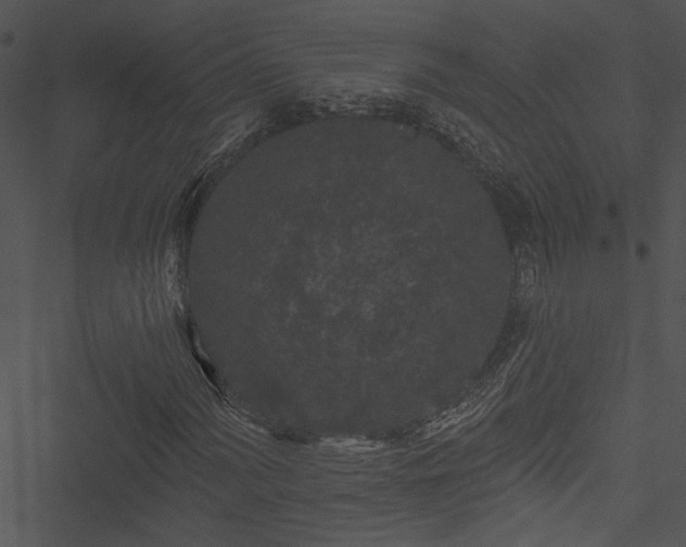 X0000050751060200506161556